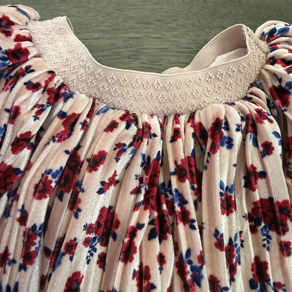 Pippa &‎ Julie Girl's Pink With Red Floral Print Pleated Velour Skirt Size 5T